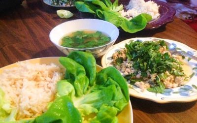 Chicken Larb Recipe